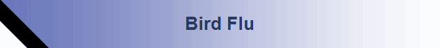 Bird Flu